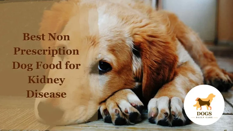 The Best Non-prescription Dog Food for Kidney Disease