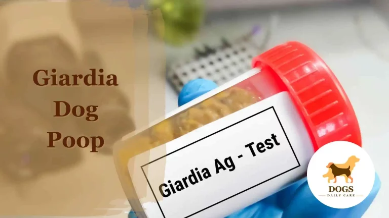 Giardia Dog Poop Picture – All You Need To Know