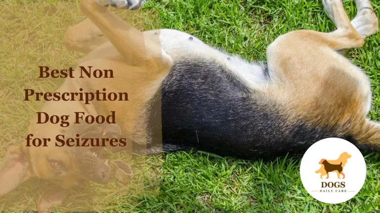 Best Non Prescription Dog Food for Seizures – An Ultimate Guide