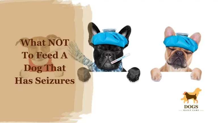What NOT To Feed A Dog That Has Seizures – An Ultimate Guide