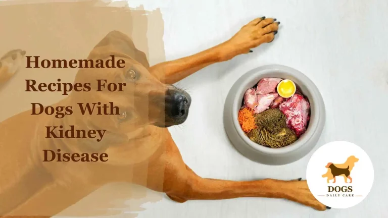 Best Homemade Recipes For Dogs With Kidney Disease