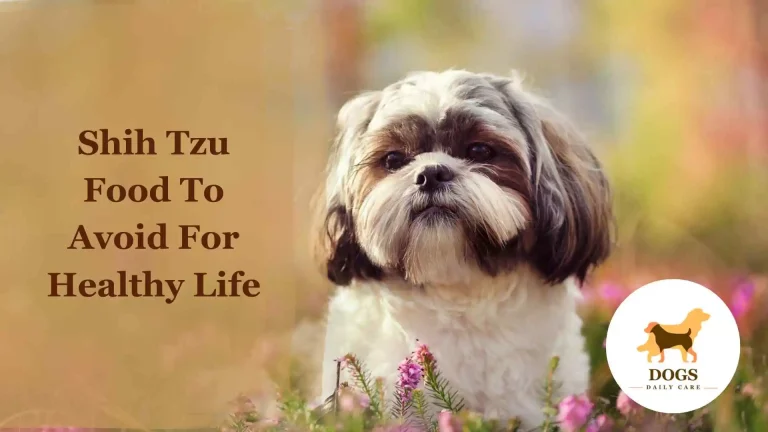 Shih Tzu Food To Avoid For Healthy life – A Complete Guide