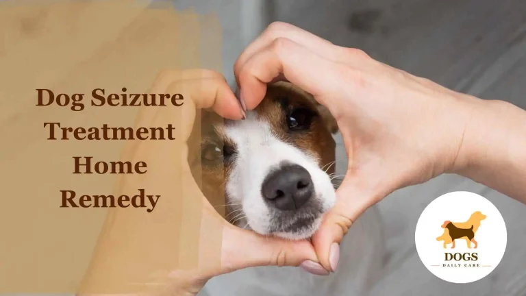 Ultimate Dog Seizure Treatment Home Remedy in 2024
