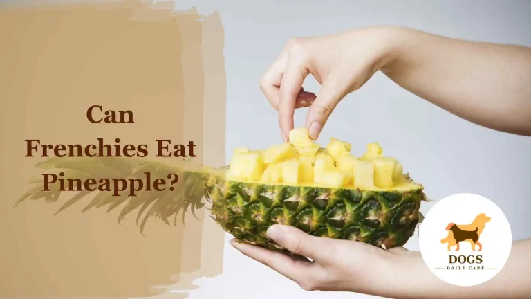 Can French Bulldogs (Frenchies) Eat Pineapple? – All You Need To Know