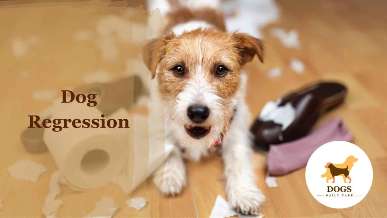 Dog Regression – All You Need To Know