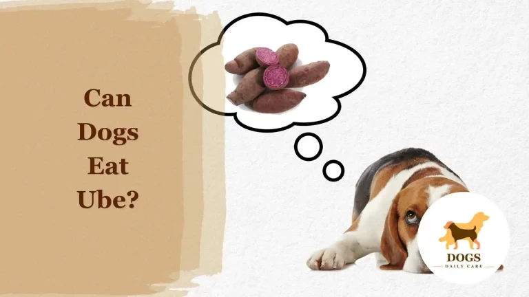 Can Dogs Have Ube? – All You Need To Know