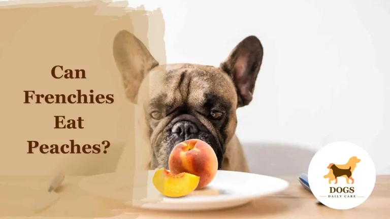 Can French Bulldogs (Frenchies) Eat Peaches? – All You Need To Know