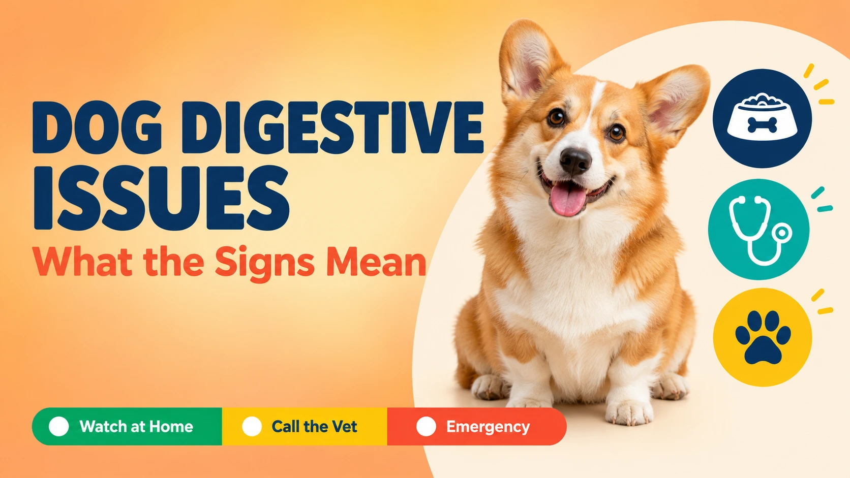 Common Digestive Issues in Dogs and What They Mean