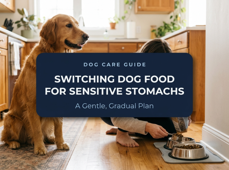 How to Switch Dog Food for a Sensitive Stomach